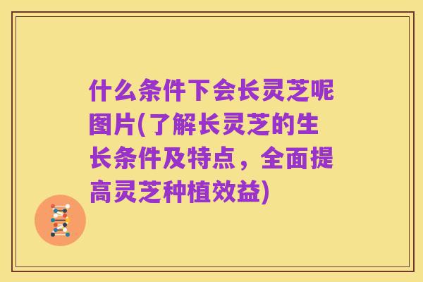 什么条件下会长灵芝呢图片(了解长灵芝的生长条件及特点,全面提高灵芝种植效益)