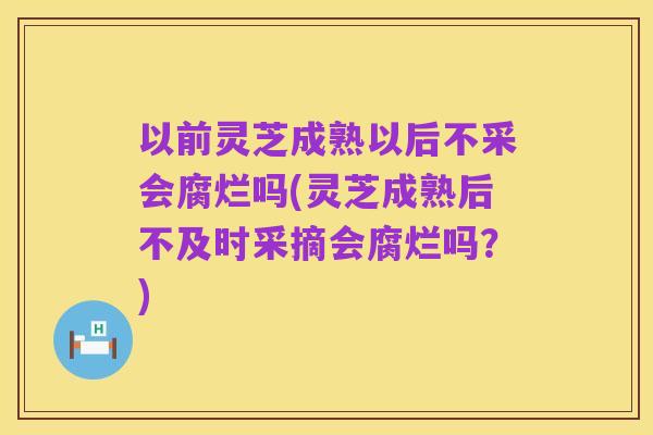 以前灵芝成熟以后不采会腐烂吗(灵芝成熟后不及时采摘会腐烂吗？)