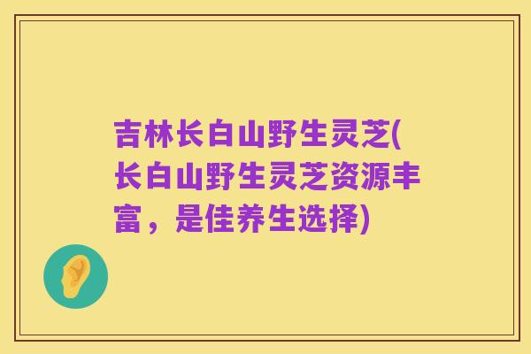 吉林长白山野生灵芝(长白山野生灵芝资源丰富,是佳养生选择)