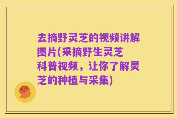 去摘野灵芝的视频讲解图片(采摘野生灵芝 科普视频,让你了解灵芝的种植与采集)