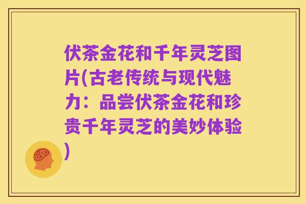 伏茶金花和千年灵芝图片(古老传统与现代魅力:品尝伏茶金花和珍贵千年灵芝的美妙体验)