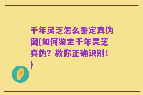 千年灵芝怎么鉴定真伪图(如何鉴定千年灵芝真伪?教你正确识别!)
