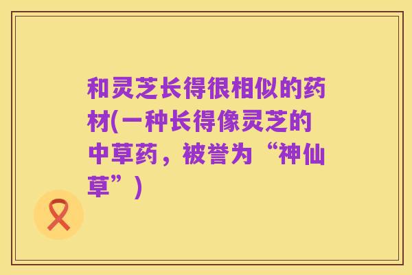 和灵芝长得很相似的药材(一种长得像灵芝的中草药,被誉为“神仙草”)