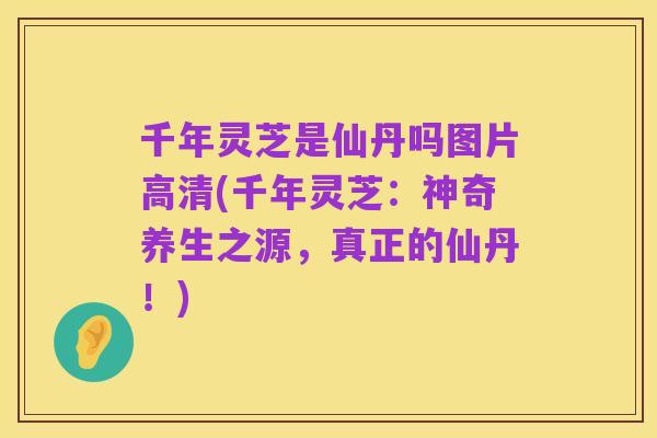 千年灵芝是仙丹吗图片高清(千年灵芝：神奇养生之源，真正的仙丹！)