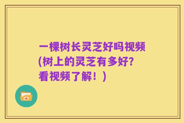一棵树长灵芝好吗视频(树上的灵芝有多好?看视频了解!)