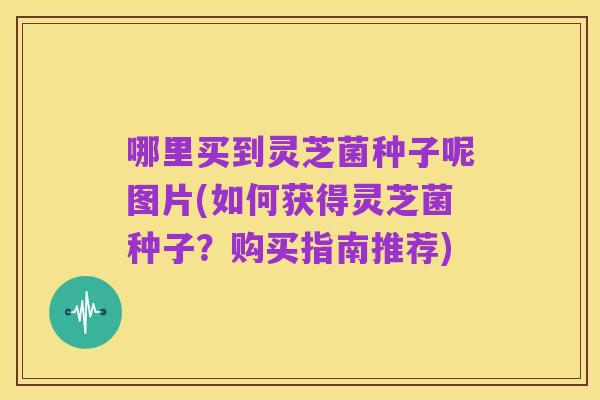 哪里买到灵芝菌种子呢图片(如何获得灵芝菌种子?购买指南推荐)