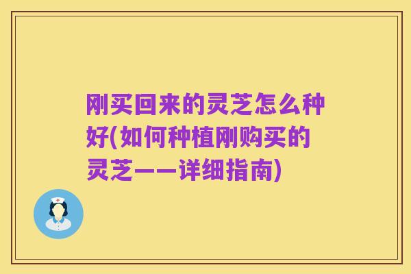 刚买回来的灵芝怎么种好(如何种植刚购买的灵芝——详细指南)