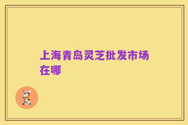 上海青岛灵芝批发市场在哪