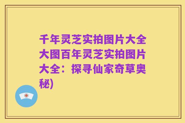 千年灵芝实拍图片大全大图百年灵芝实拍图片大全：探寻仙家奇草奥秘)