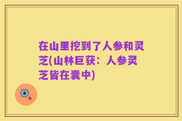 在山里挖到了人参和灵芝(山林巨获:人参灵芝皆在囊中)