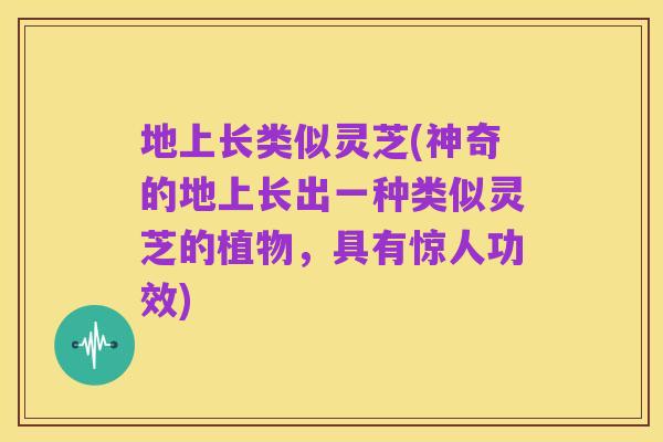 地上长类似灵芝(神奇的地上长出一种类似灵芝的植物，具有惊人功效)