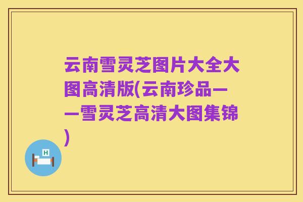云南雪灵芝图片大全大图高清版(云南珍品——雪灵芝高清大图集锦)