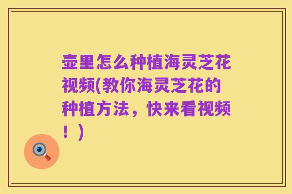 壶里怎么种植海灵芝花视频(教你海灵芝花的种植方法，快来看视频！)