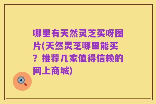 哪里有天然灵芝买呀图片(天然灵芝哪里能买?推荐几家值得信赖的网上商城)