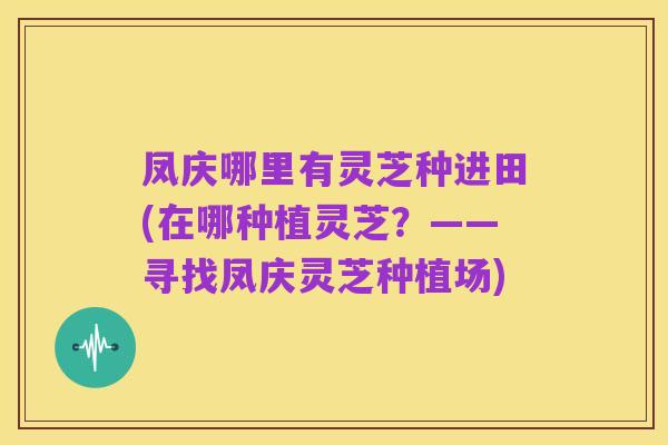 凤庆哪里有灵芝种进田(在哪种植灵芝?——寻找凤庆灵芝种植场)