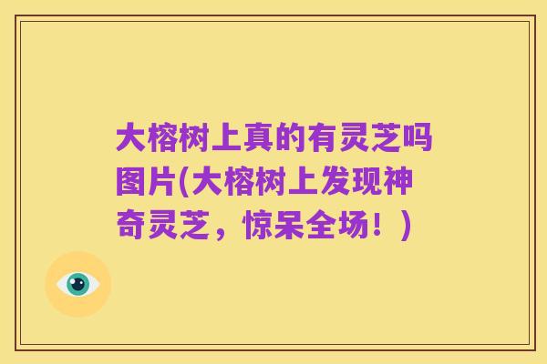 大榕树上真的有灵芝吗图片(大榕树上发现神奇灵芝，惊呆全场！)