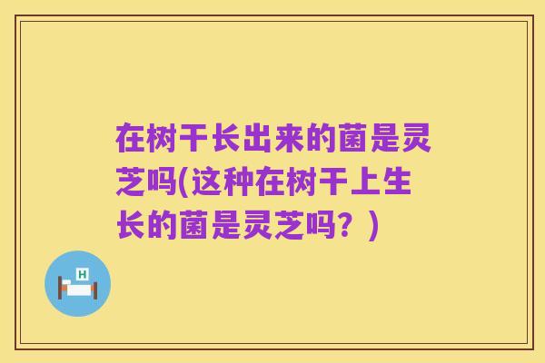 在树干长出来的菌是灵芝吗(这种在树干上生长的菌是灵芝吗？)