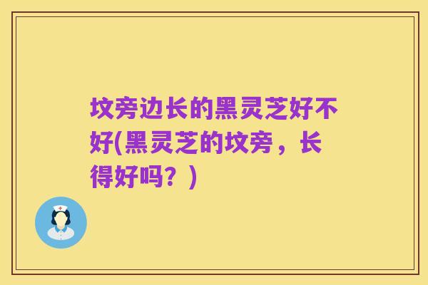 坟旁边长的黑灵芝好不好(黑灵芝的坟旁,长得好吗?)
