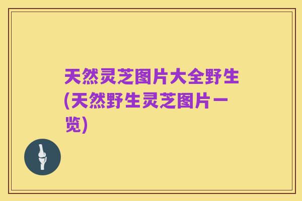 天然灵芝图片大全野生(天然野生灵芝图片一览)