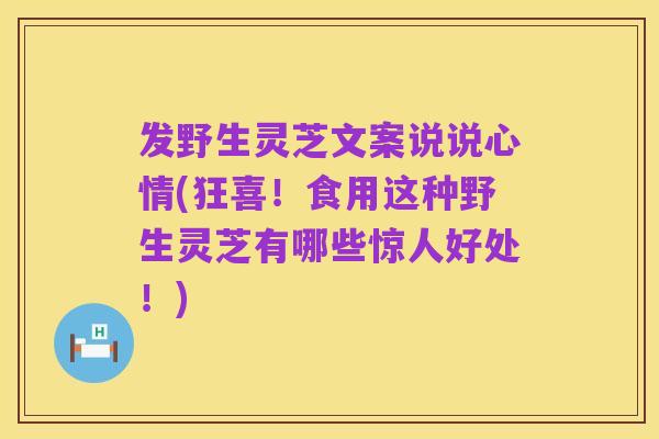 发野生灵芝文案说说心情(狂喜!食用这种野生灵芝有哪些惊人好处!)