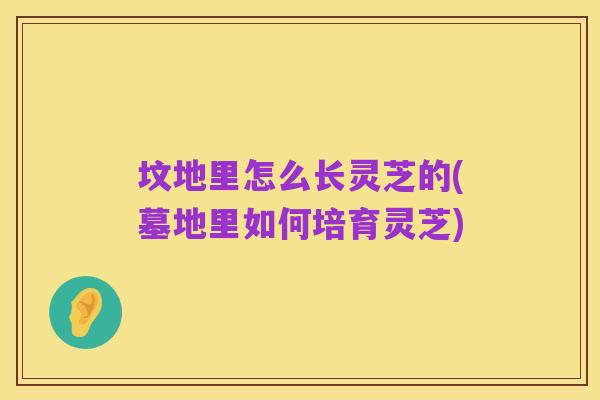 坟地里怎么长灵芝的(墓地里如何培育灵芝)