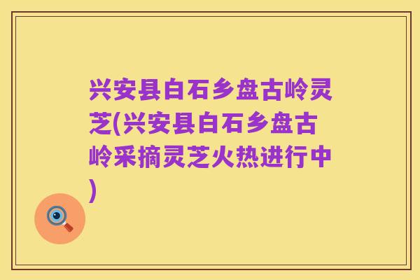 兴安县白石乡盘古岭灵芝(兴安县白石乡盘古岭采摘灵芝火热进行中)