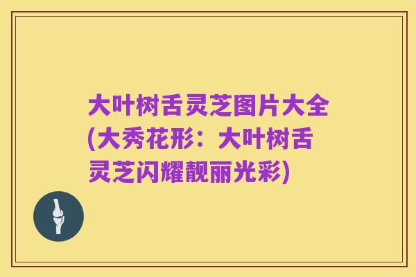 大叶树舌灵芝图片大全(大秀花形:大叶树舌灵芝闪耀靓丽光彩)