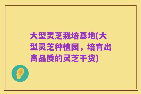 大型灵芝栽培基地(大型灵芝种植园,培育出高品质的灵芝干货)