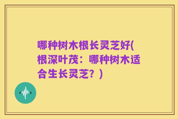 哪种树木根长灵芝好(根深叶茂：哪种树木适合生长灵芝？)