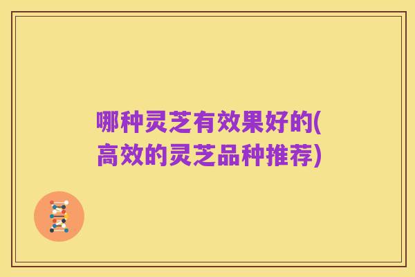 哪种灵芝有效果好的(高效的灵芝品种推荐)