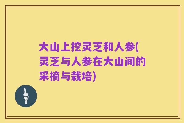 大山上挖灵芝和人参(灵芝与人参在大山间的采摘与栽培)