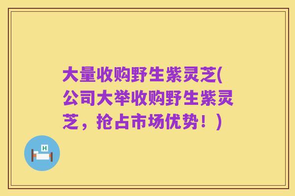 大量收购野生紫灵芝(公司大举收购野生紫灵芝,抢占市场优势!)