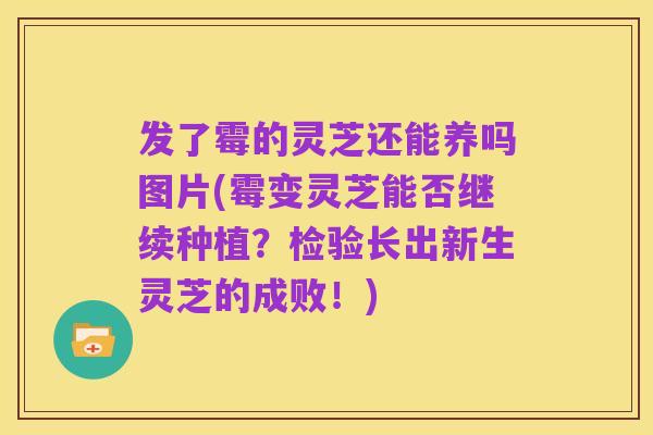 发了霉的灵芝还能养吗图片(霉变灵芝能否继续种植?检验长出新生灵芝的成败!)
