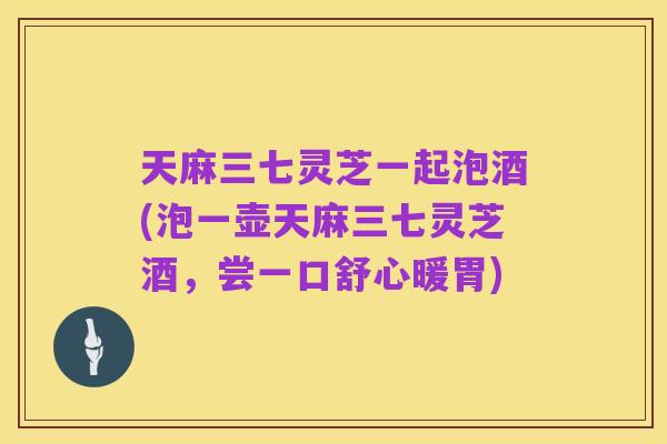 天麻三七灵芝一起泡酒(泡一壶天麻三七灵芝酒，尝一口舒心暖胃)
