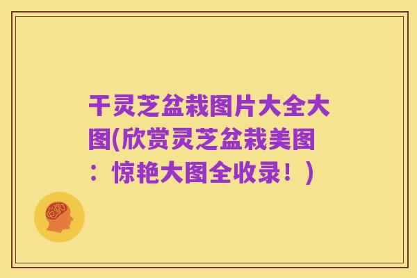 干灵芝盆栽图片大全大图(欣赏灵芝盆栽美图：惊艳大图全收录！)