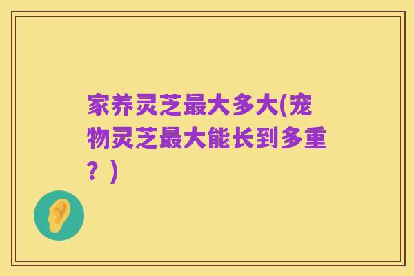 家养灵芝最大多大(宠物灵芝最大能长到多重?)