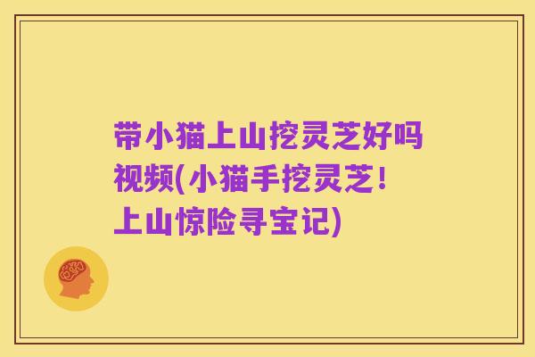 带小猫上山挖灵芝好吗视频(小猫手挖灵芝！上山惊险寻宝记)