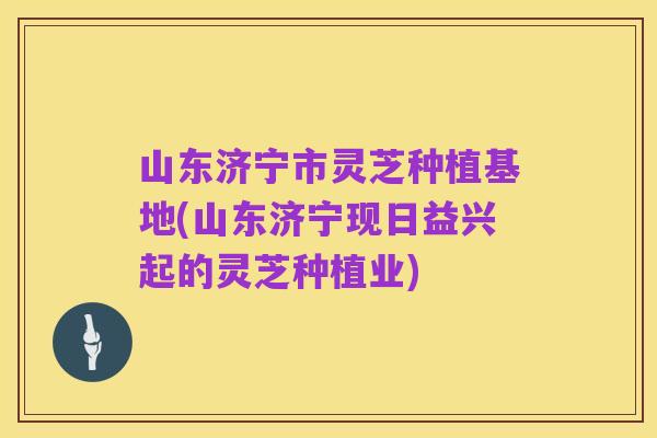 山东济宁市灵芝种植基地(山东济宁现日益兴起的灵芝种植业)