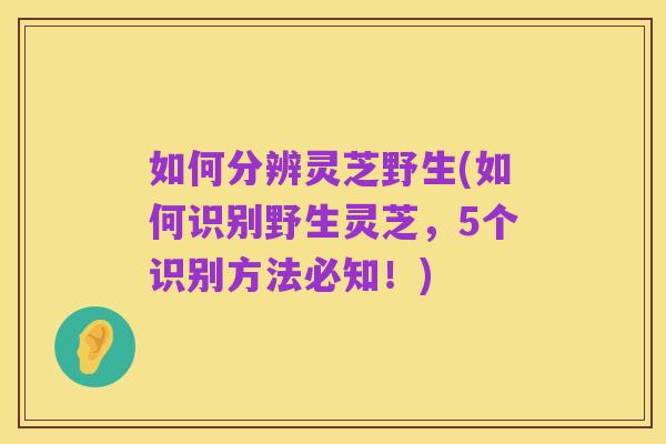 如何分辨灵芝野生(如何识别野生灵芝,5个识别方法必知!)