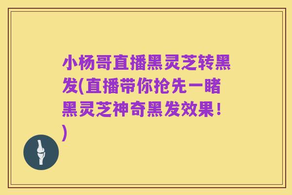 小杨哥直播黑灵芝转黑发(直播带你抢先一睹黑灵芝神奇黑发效果!)