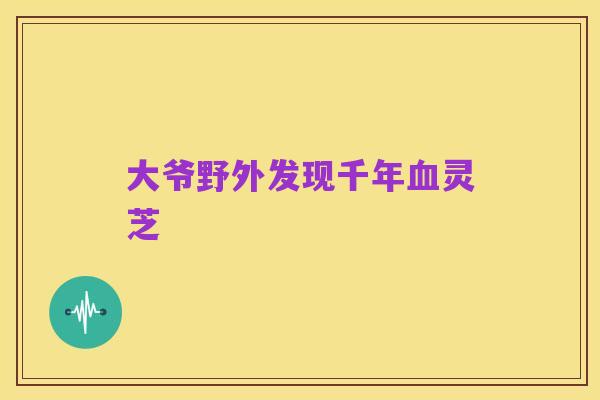 大爷野外发现千年血灵芝