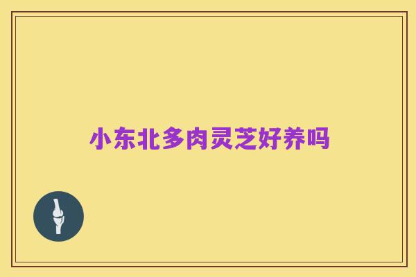 小东北多肉灵芝好养吗