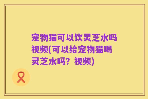 宠物猫可以饮灵芝水吗视频(可以给宠物猫喝灵芝水吗?视频)