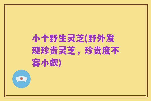 小个野生灵芝(野外发现珍贵灵芝,珍贵度不容小觑)