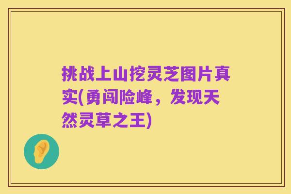 挑战上山挖灵芝图片真实(勇闯险峰,发现天然灵草之王)