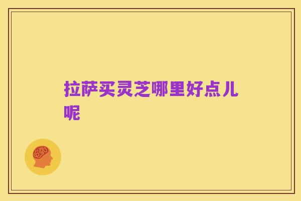 拉萨买灵芝哪里好点儿呢