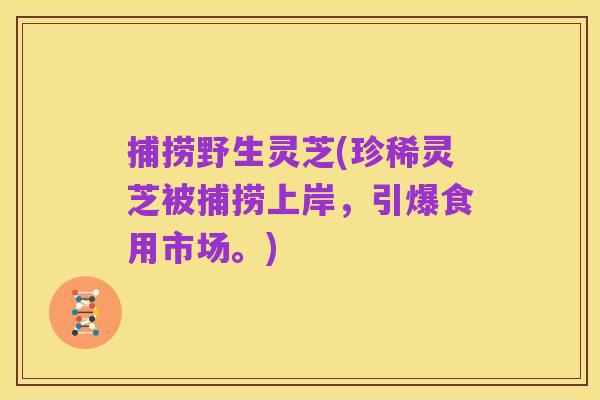 捕捞野生灵芝(珍稀灵芝被捕捞上岸，引爆食用市场。)