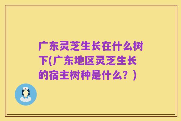 广东灵芝生长在什么树下(广东地区灵芝生长的宿主树种是什么?)
