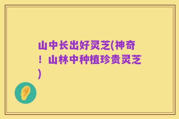 山中长出好灵芝(神奇!山林中种植珍贵灵芝)