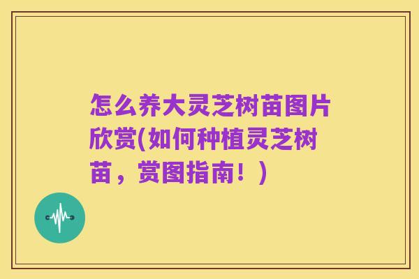 怎么养大灵芝树苗图片欣赏(如何种植灵芝树苗，赏图指南！)